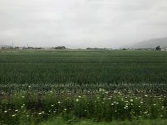 -富田农场