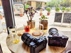 -隹木咖啡馆(宝龙广场店)