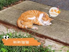 -西园戒幢律寺