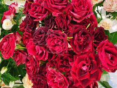 -森野花艺培训·企业团建活动沙龙