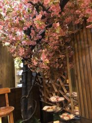 -红人馆造型世爵国际