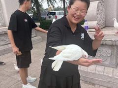 -天津妈祖文化园