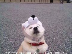 -鸡脚旮旯(苏州中心店)