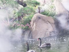 -罗红摄影艺术馆