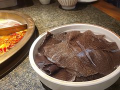 -小天鹅火锅·一线江景洪鼎旗舰店(洪崖洞店)