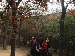 -西安青龙寺遗址景区