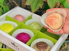 -好一朵茉莉花(老门东店)