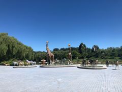 -北京野生动物园