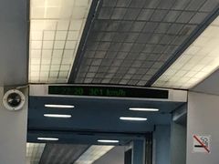 -龙阳路磁悬浮列车总站-停车场