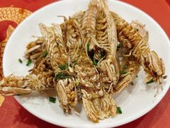 -红灯笼龙凤饭店(宁波老字号店)