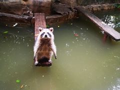 -长鹿旅游休博园