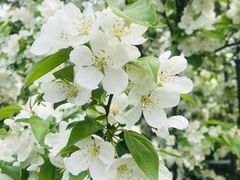 -南通洲际绿博园