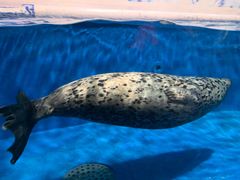 -成都浩海立方海洋公园