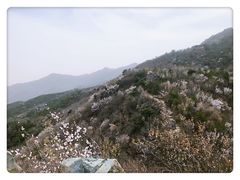 -北京鹫峰国家森林公园