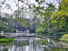 -杭州植物园