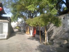 -大槐树寻根祭祖园