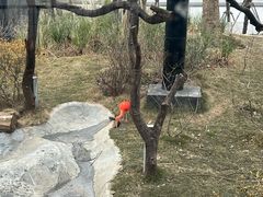 -武汉动物园