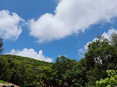 -普陀山风景名胜区-法雨禅寺