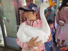 -花鸟鱼虫鲜花绿植市场(玉泉路店)
