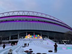 -沈阳奥体冰雪嘉年华