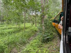 -合肥滨湖国家森林公园