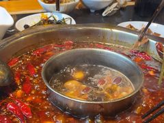 -一斗火锅·招财羊毛肚(北温泉九号店)
