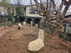 -丽泽山庄·生态怀柔菜·虹鳟鱼(红螺寺店)