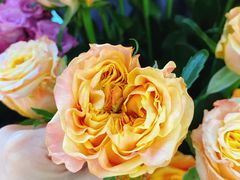 -森野花艺培训·企业团建活动沙龙