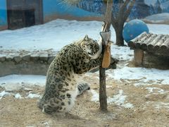 -青藏高原野生动物园