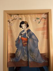 -敖东酵素·离子暖房