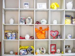 -彩虹桥宠物火化殡葬善终服务(金乐大厦店)