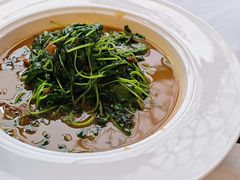蚌肉金花菜-洋洋中餐馆·SINCE 1997(信投店)