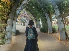 -布里斯班南岸公园