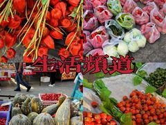 -永宁古城