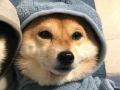 -嘎嘎鸭下巴·爆辣干锅(明教寺店)