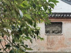 -汇龙潭