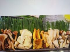 -木王宴语·野生鲜菌火锅(玉河店)