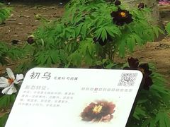 -仁和公园(顺义区)