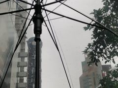 -阜阳杜大大卷馍(塘沽路店)