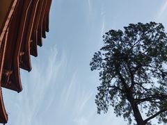 -缙云山景区