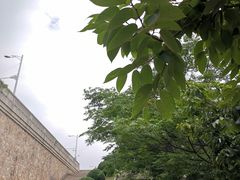 -武汉长江大桥