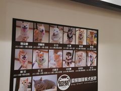 -逗柴咖啡屋·狗咖猫咖宠物桌游