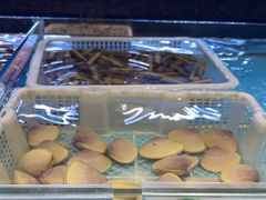 -钱山海鲜大排档