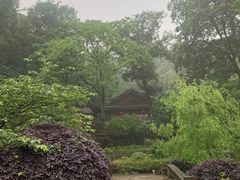 -杭州西湖风景名胜区-三生石