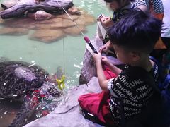 -重庆欢乐海底世界