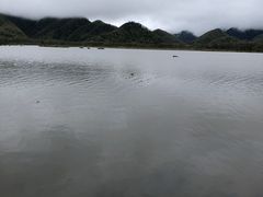 -大九湖