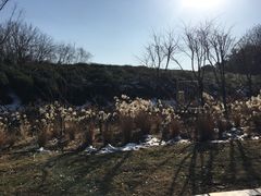 -南京市江宁方山