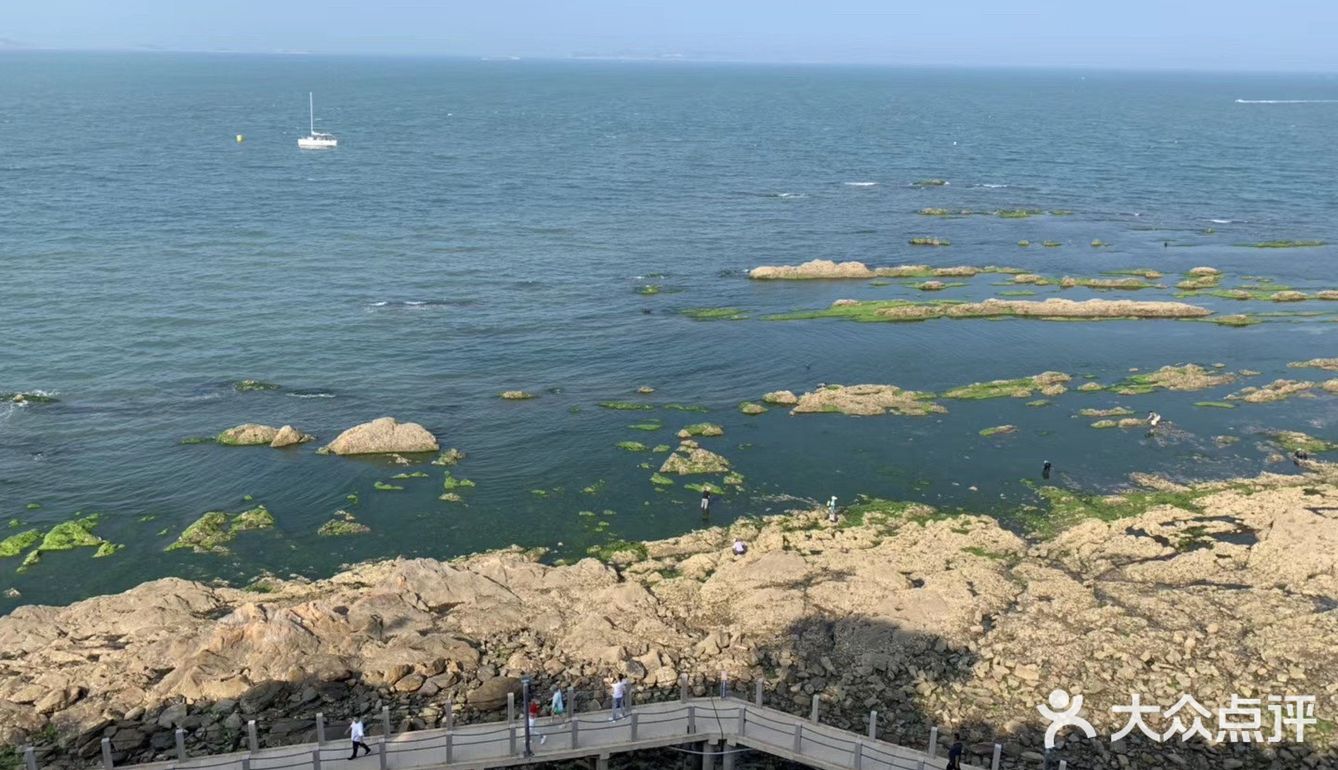 打卡✅抖音网红养马岛🌊🌊