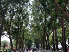 景点-斯大林公园