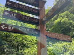 -洛阳白云山景区